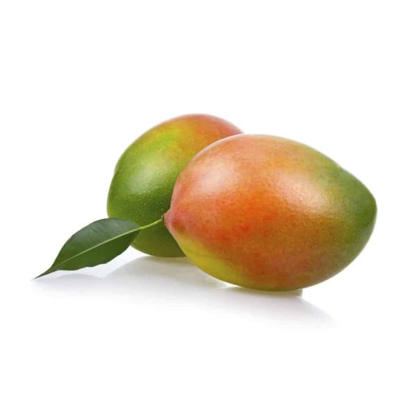 Organic mangos Keitt variety